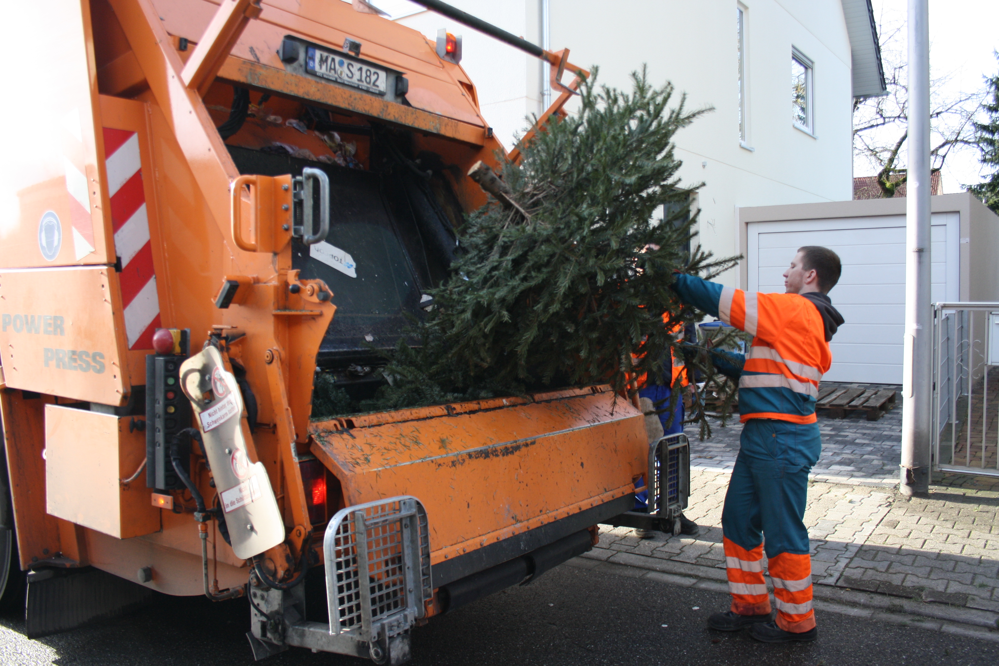 Weihnachtsbaumabholung