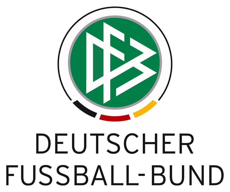 dfb logo